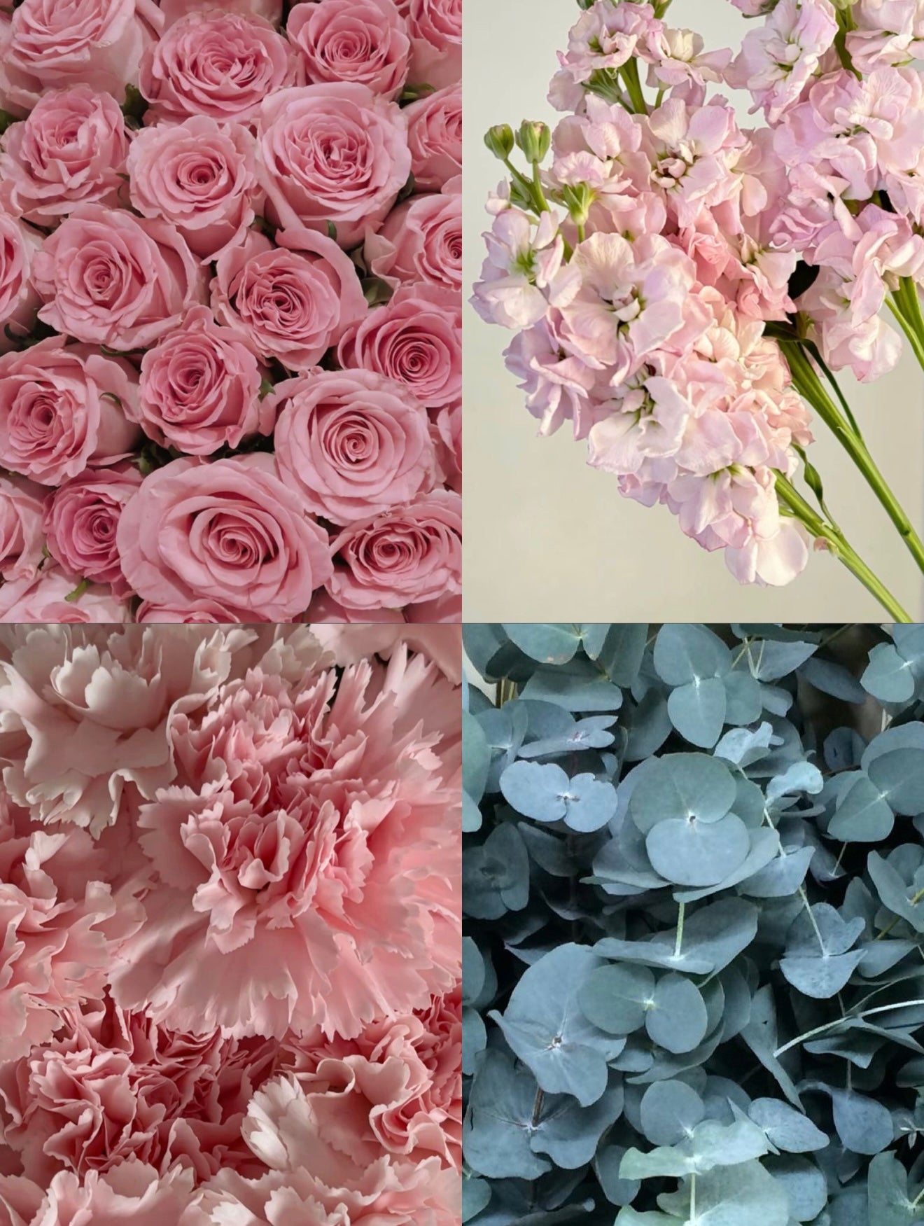 Blush Celebration Bulk Flower Set