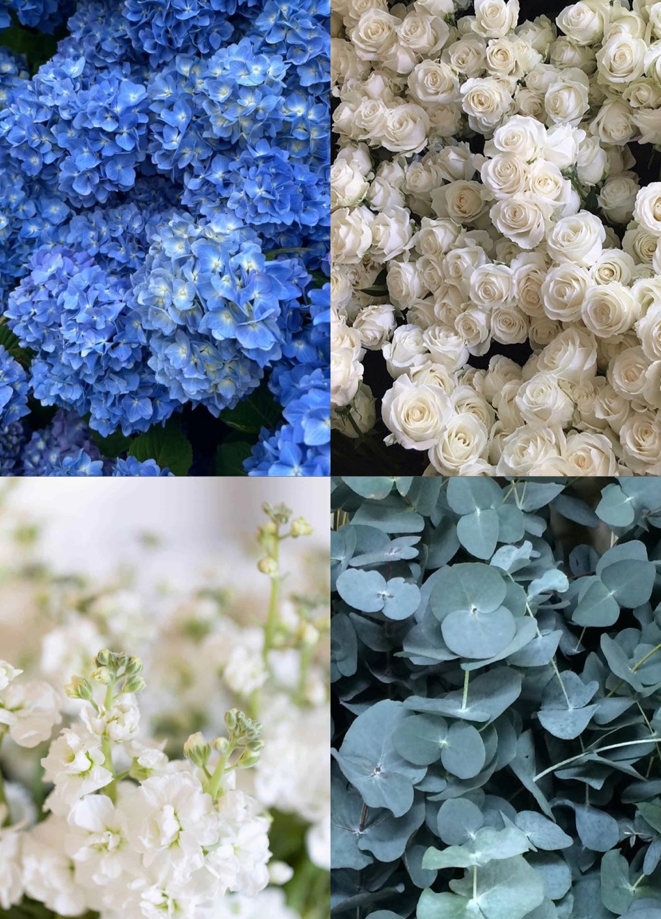 Blue Elegance Bulk Flower Set