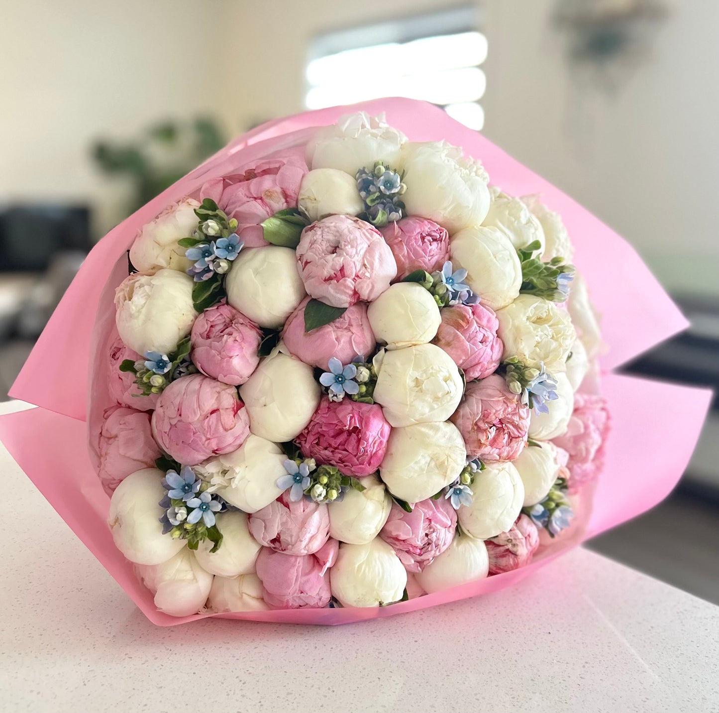 Peonies Mix 45 stems