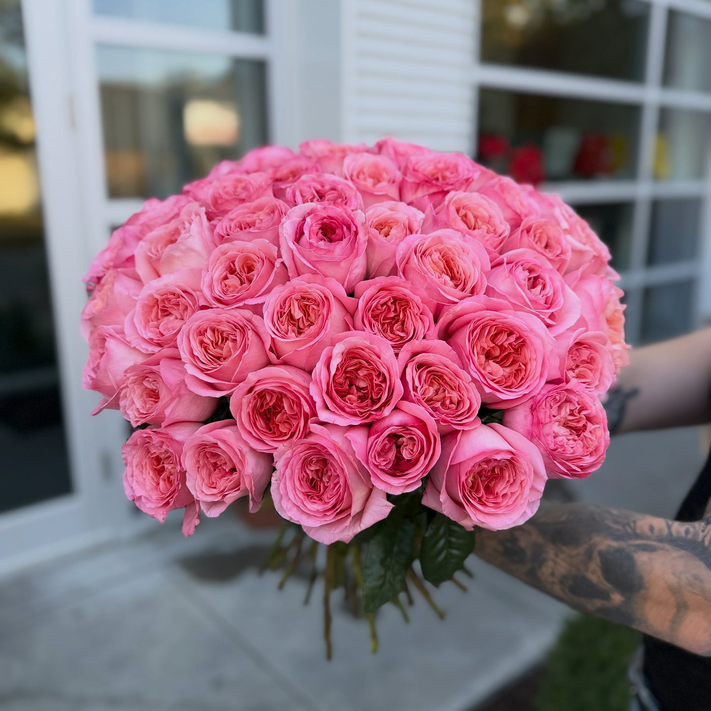 Garden Roses