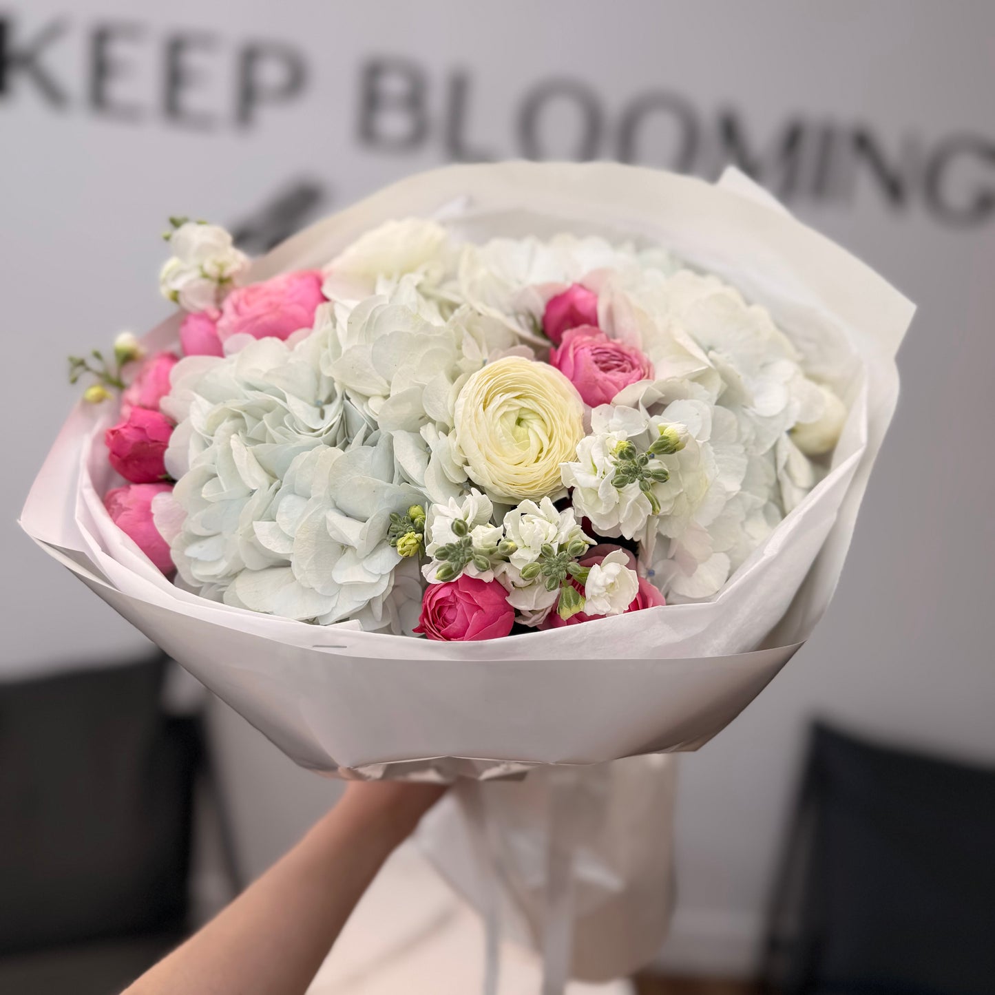 Soft Blush Hydrangea Dream