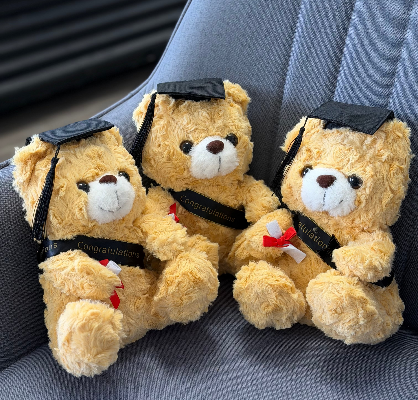 Graduation Teddy