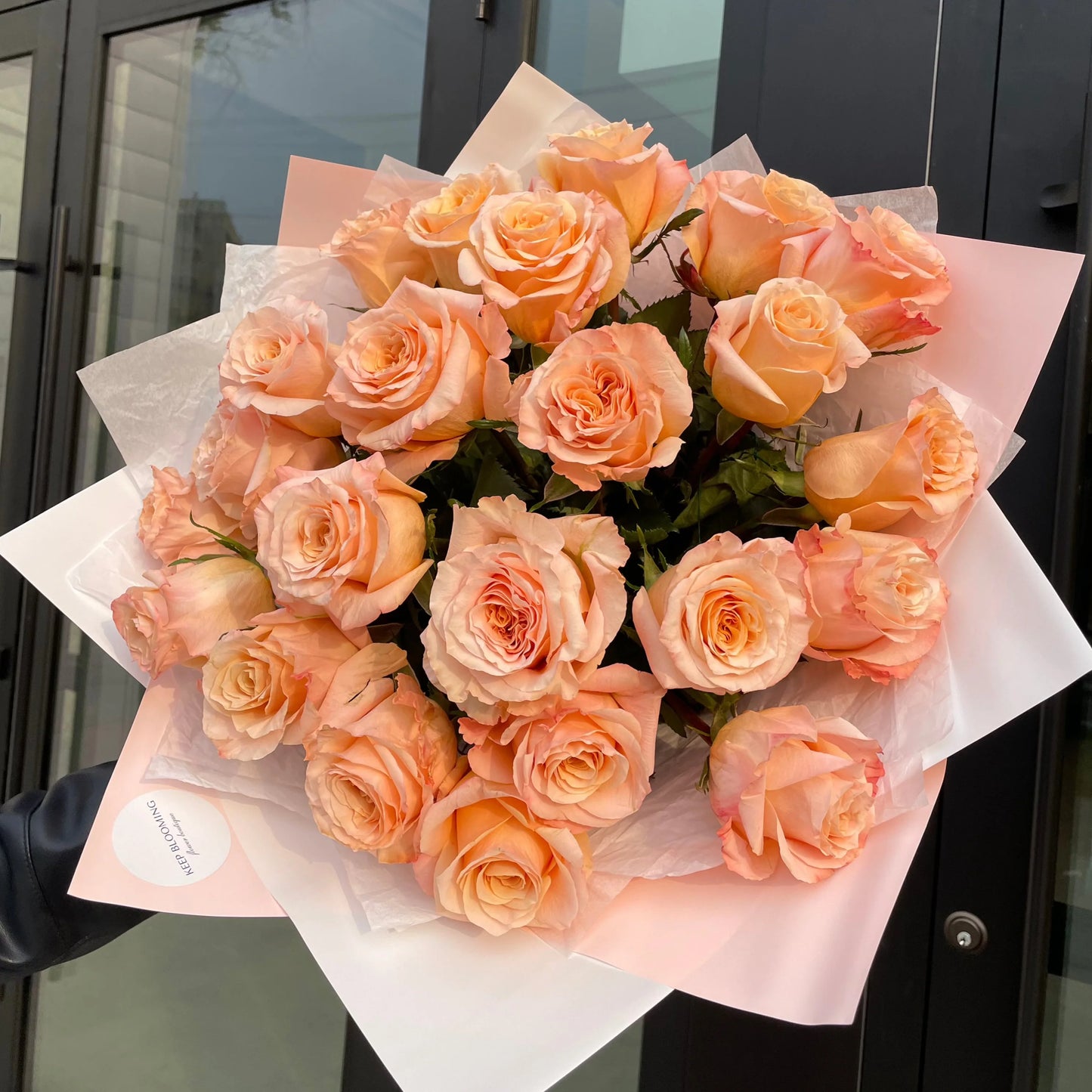 25 Roses (Choose colour)