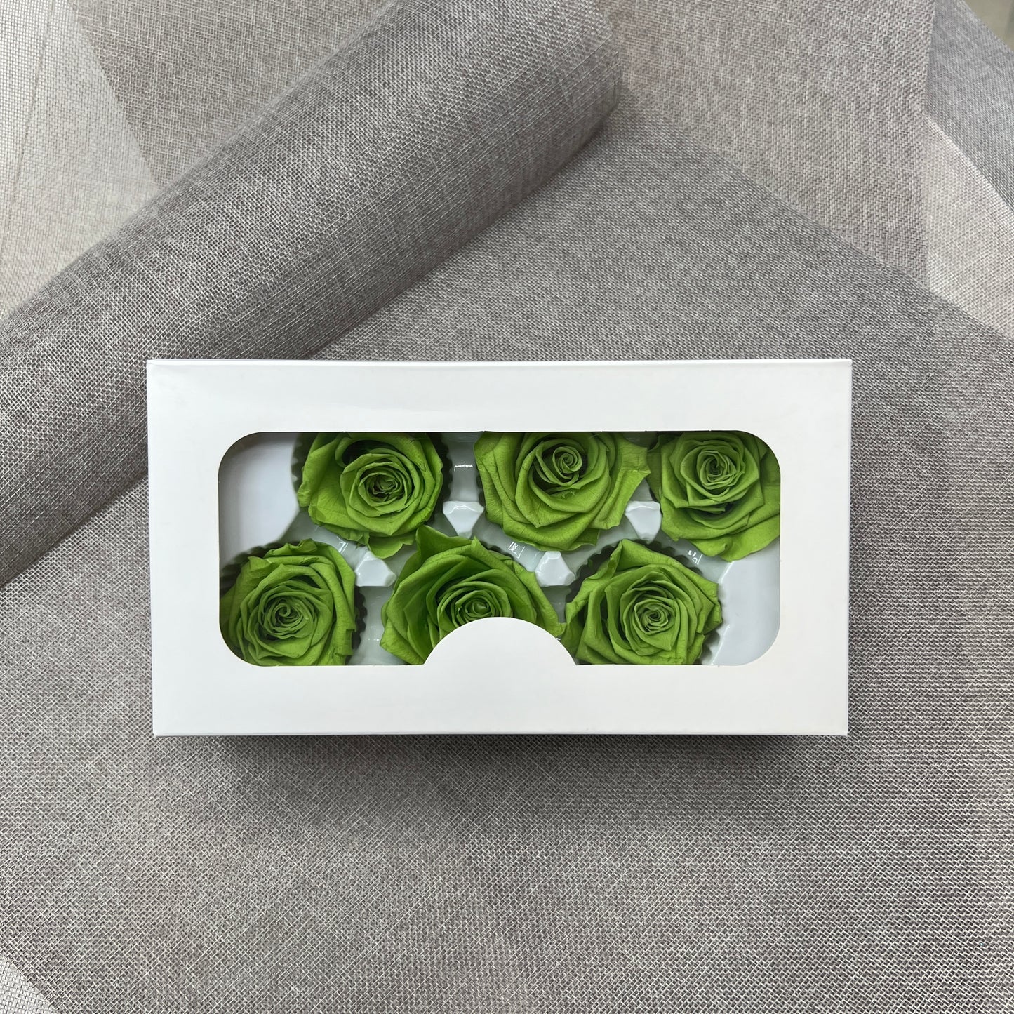 Preserved Roses #21