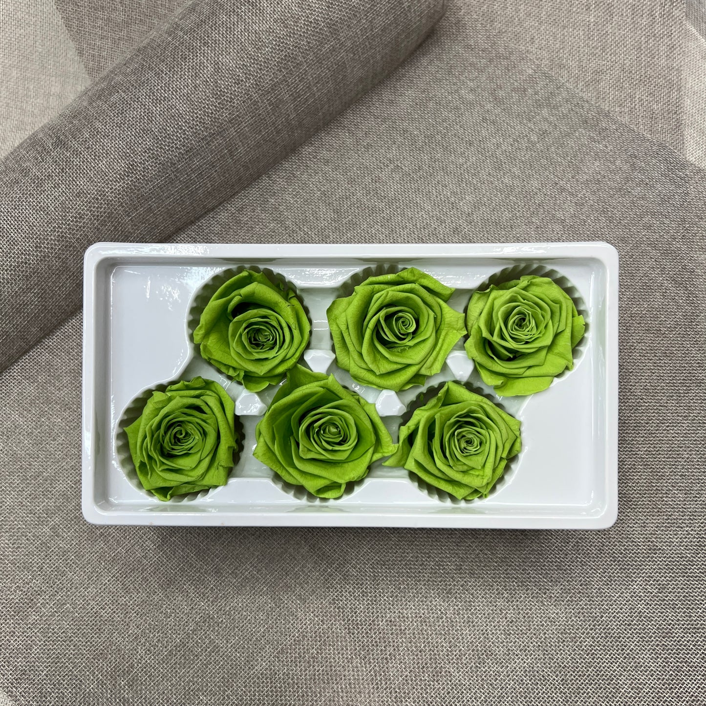 Preserved Roses #21