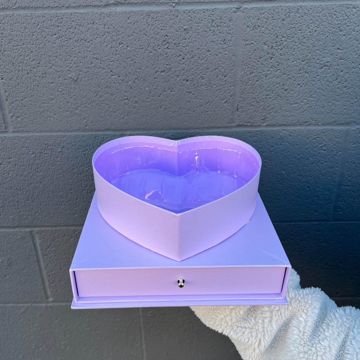 Transparent Waterproof Box