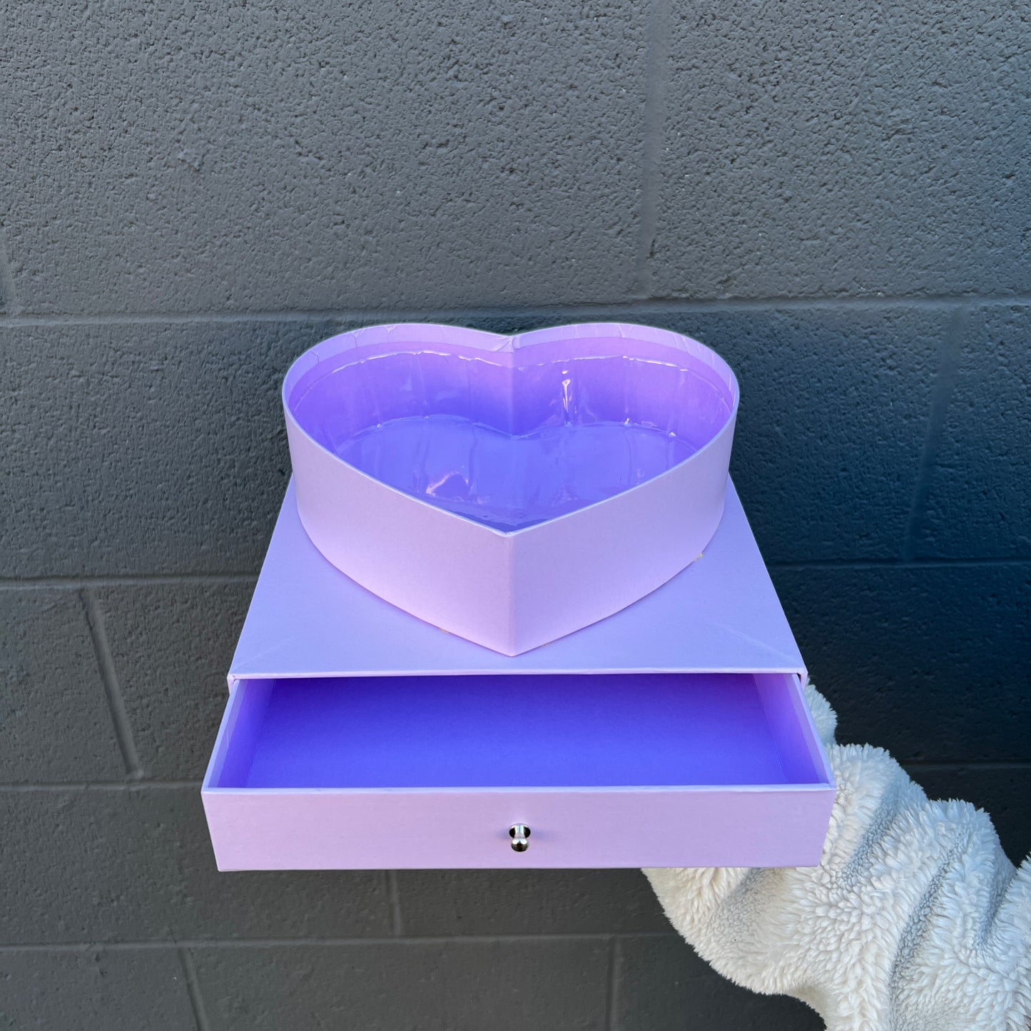 Transparent Waterproof Box