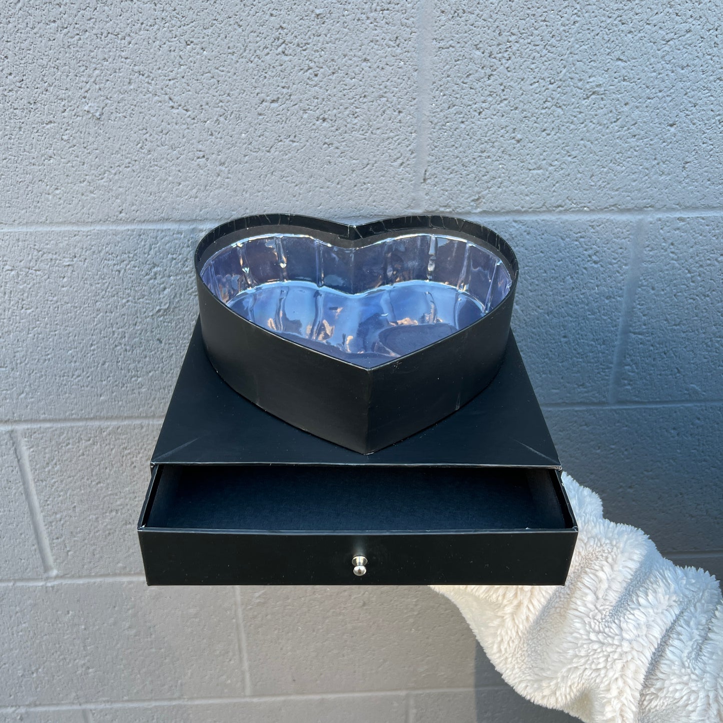 Transparent Waterproof Box