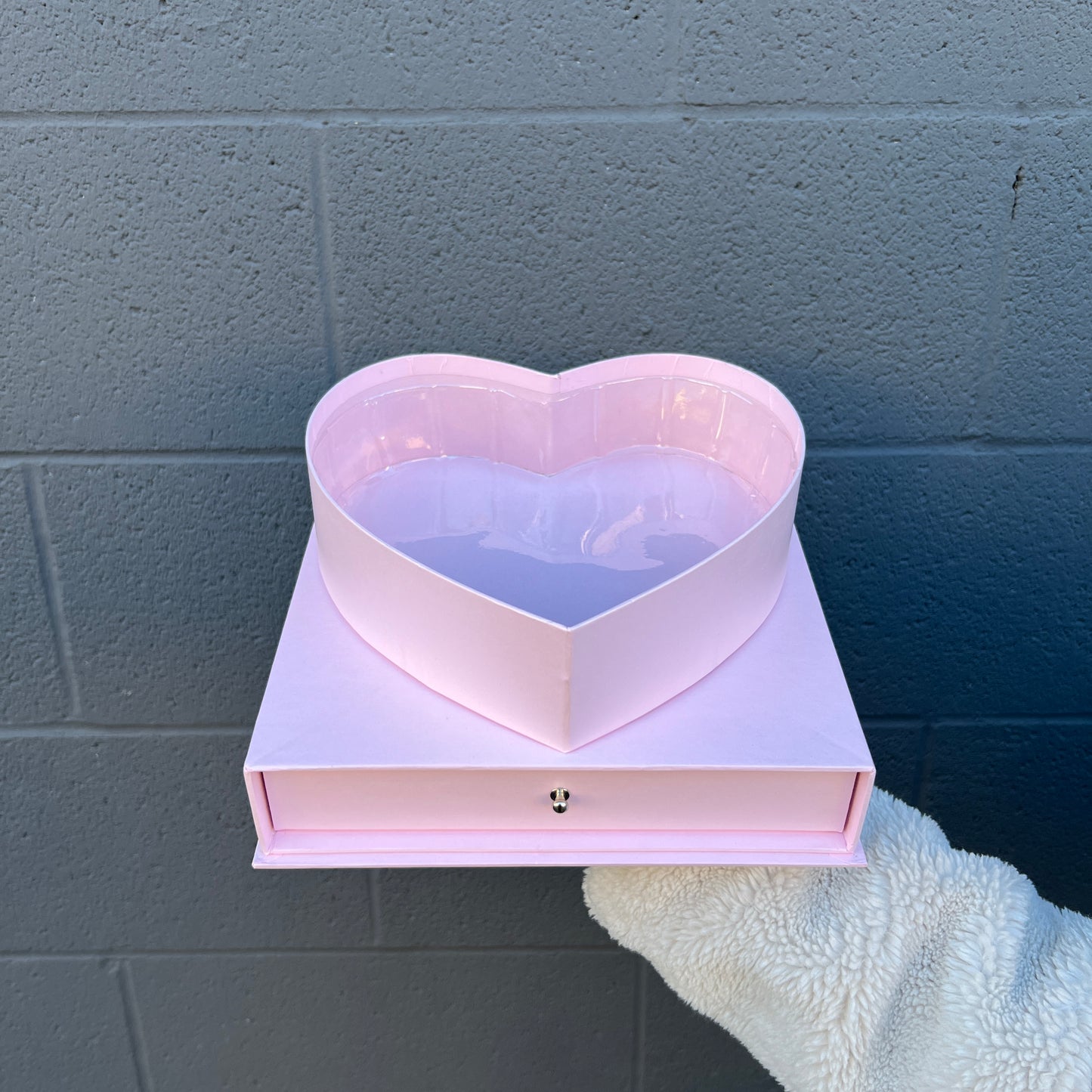 Transparent Waterproof Box