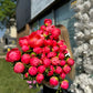 Peonies Blush