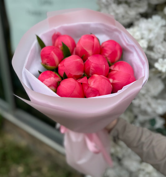 Coral Charm Peonies