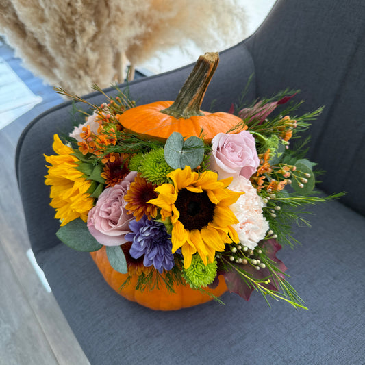 Pumpkin Bloom