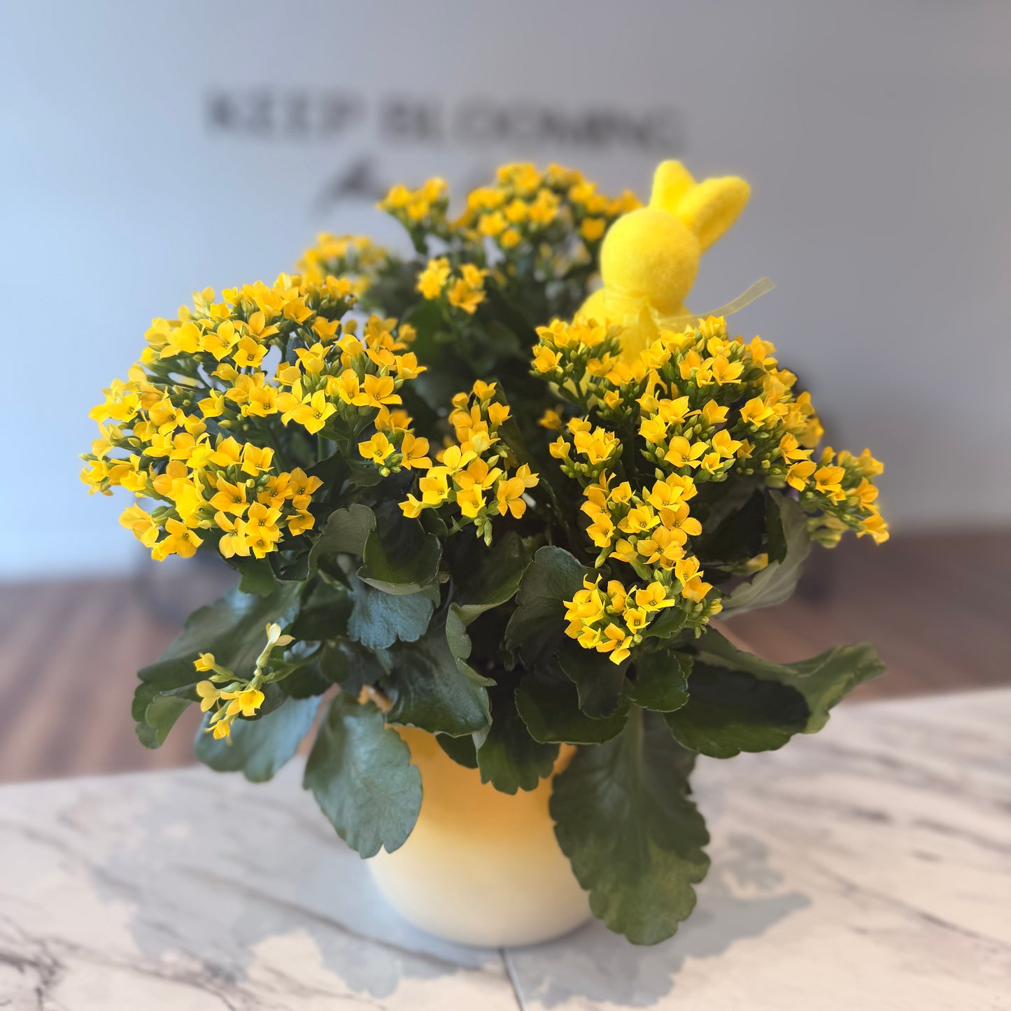 Yellow Bloom