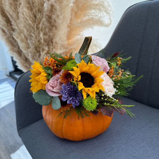 Pumpkin Bloom