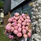 Peonies Blush