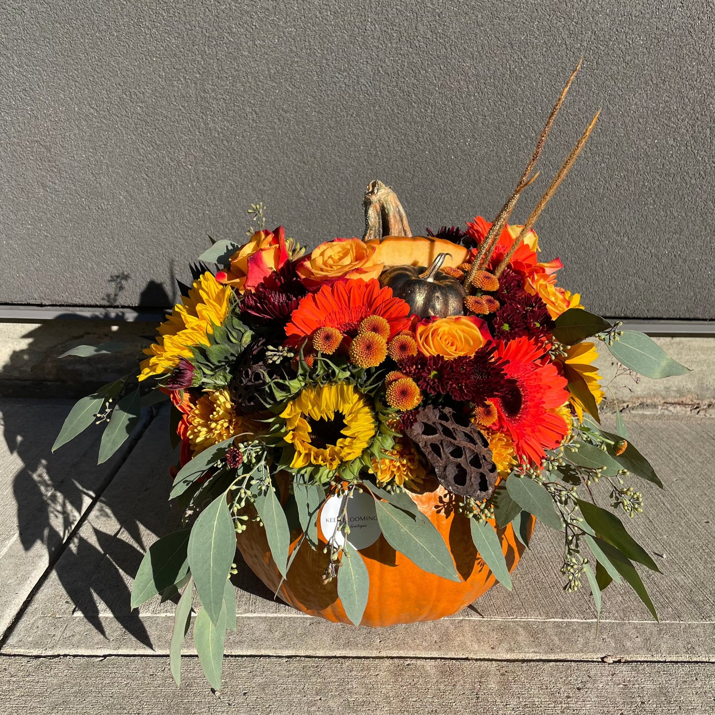 Red Gerbera Pumpkin