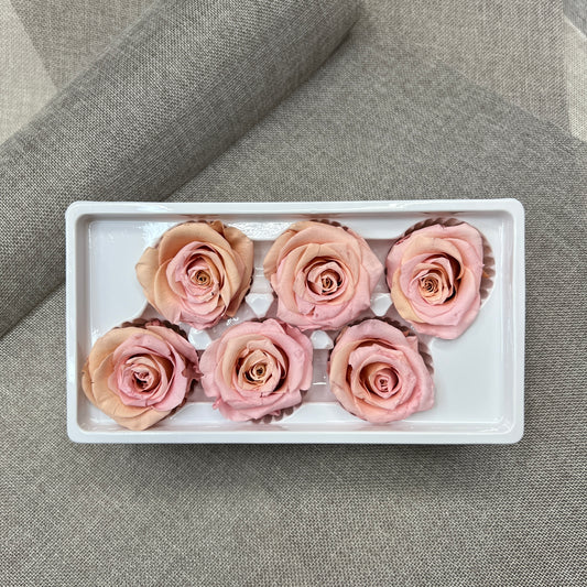 Preserved Roses #17 (Pink Peach)