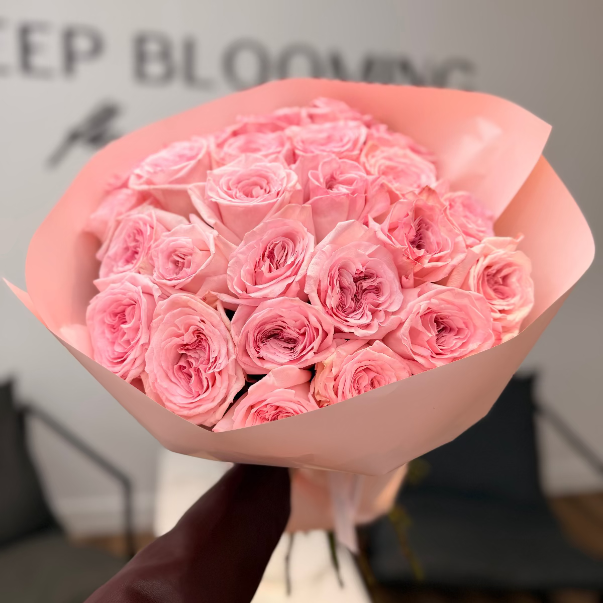 Blush Pink Roses