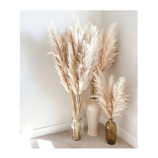 Large Beige Pampas